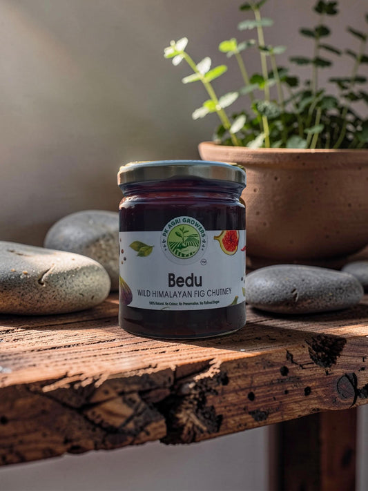 Bedu Wild Himalayan Fig Chutney