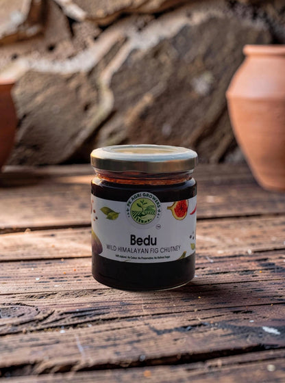 Bedu Wild Himalayan Fig Chutney